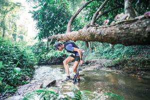 BIB: 
                            <button type="button" onclick="openModal(25433734)" class="btn btn-primary btn-sm float-right btn-popup" data-toggle="modal" data-target=".modal-high-quality">
                        <i class="fas fa-shopping-cart"></i> Add to Cart
                    </button>
                                            <button type="button" onclick="isThisMe(25433734, true)" class="btn btn-success btn-sm float-right btn-popup btn-isme hidden" data-toggle="tooltip" data-placement="bottom" title="นี่คือรูปของคุณใช่ไหม คลิกที่นี่เพื่อเอาเข้าอัลบั้ม">
                        <i class="fas fa-plus"></i> Add to album
                    </button>
                    <button type="button" onclick="isThisMe(25433734, false)" class="btn btn-warning btn-sm float-right btn-popup btn-isnotme hidden">
                        <i class="fas fa-ban"></i> Remove from album
                    </button>